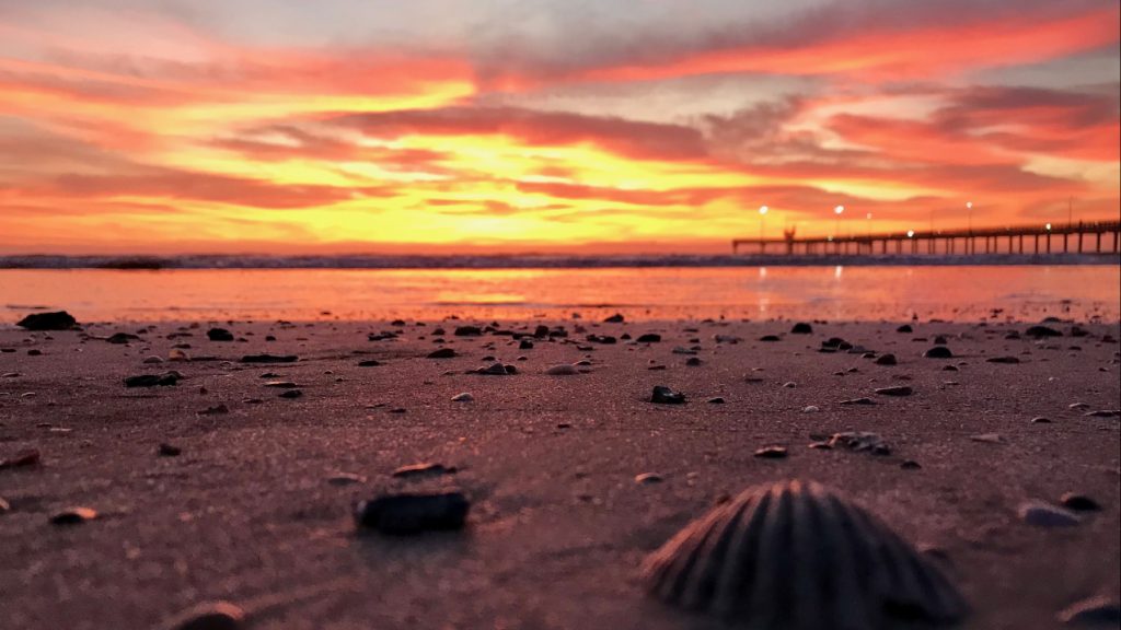 50 years of coastal management makes a difference