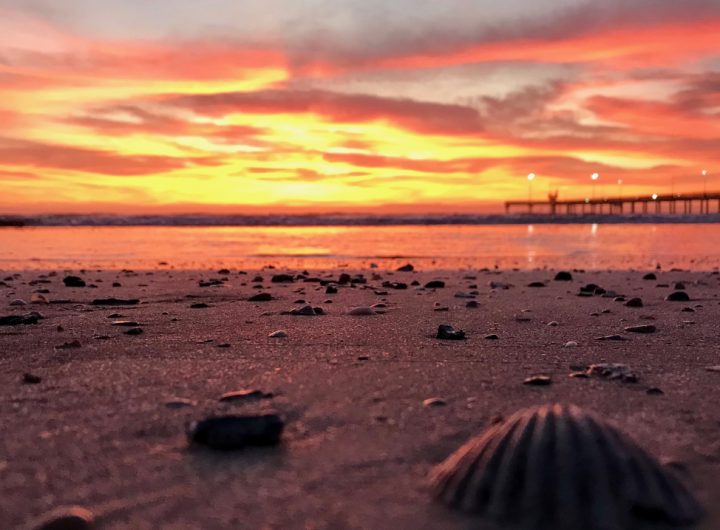 50 years of coastal management makes a difference