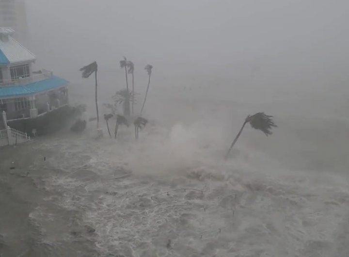 @weatherchannel: “People might have a hard time coming to grips with emotions… The dog helps.”After surviving a traumatic storm, hugs and kisses from a furry friend certainly don’t hurt: