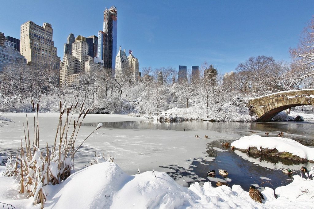 ‘Extreme’ lake-effect snowstorm turns deadly, shuts down travel across western New York