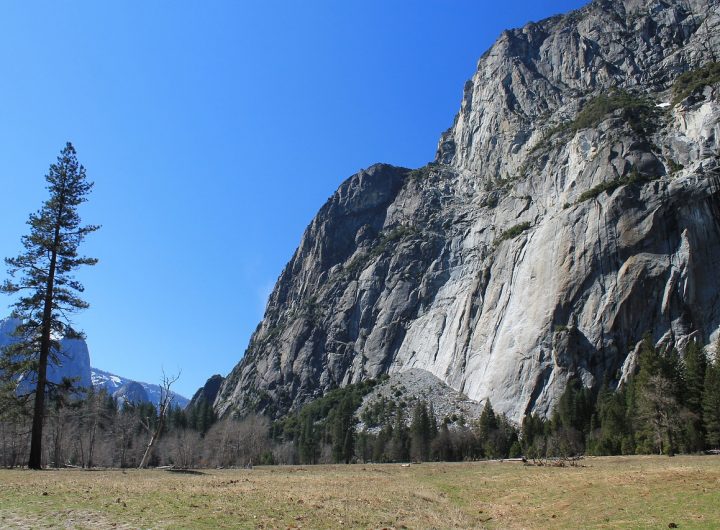 Did this week’s big storm help with California drought? What about wildfire season? – Sacramento Bee Did this week’s big storm help with California drought? What about wildfire season? – Sacramento Bee