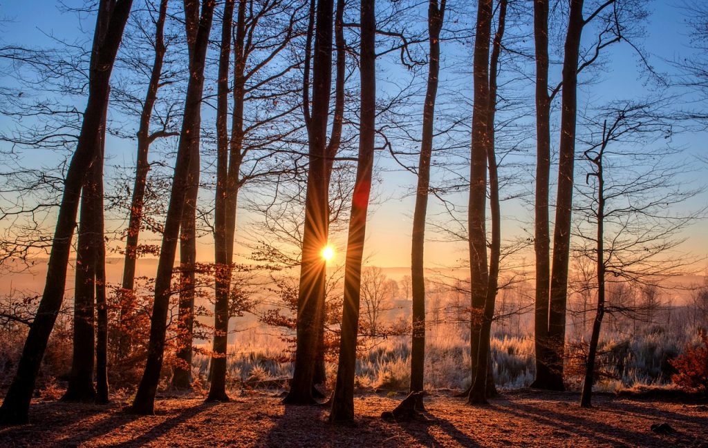 Europe is seeing its warmest weather on record so late in the year – The Washington Post