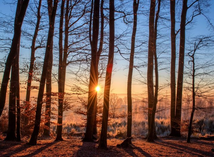 Europe is seeing its warmest weather on record so late in the year – The Washington Post