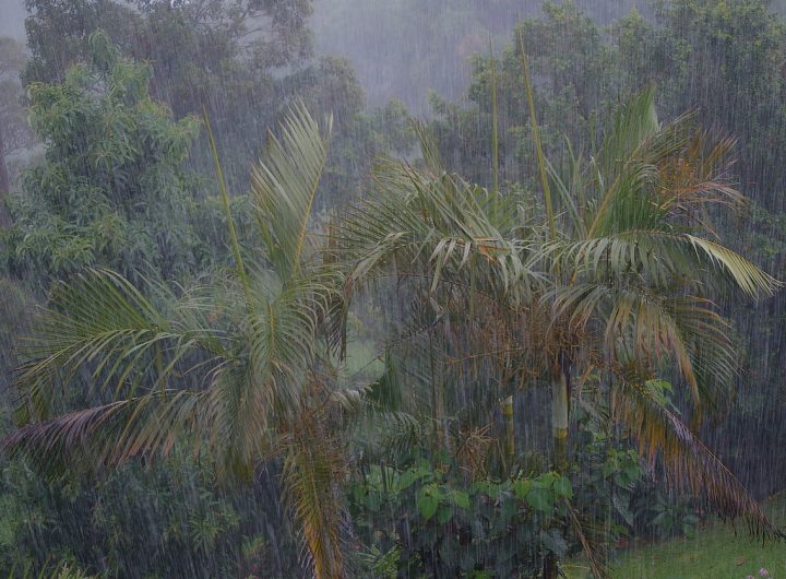 Floods isolate Australian wheatbelt towns; Singapore joins rescue efforts – Reuters