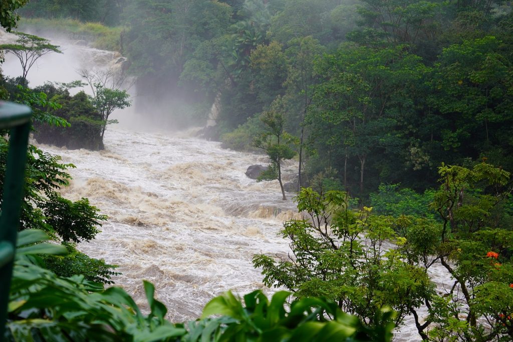 Cows drown, crops lost in Manzanilla flooding – Trinidad Guardian