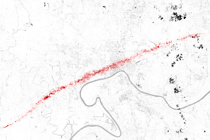 A Tornado Scars Selma