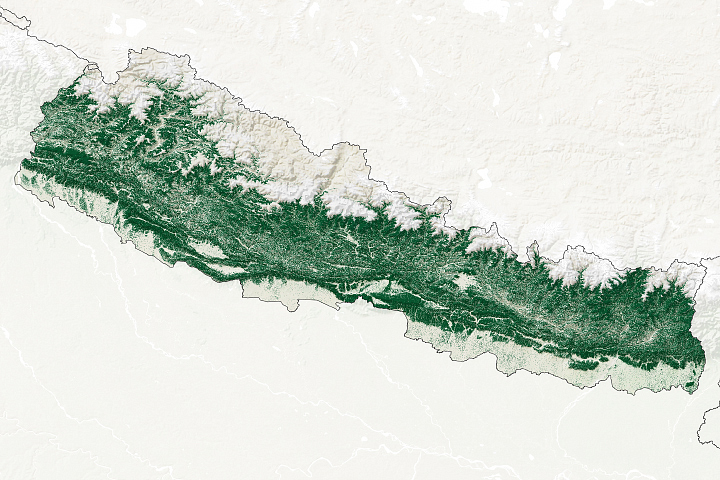 How Nepal Regenerated Its Forests