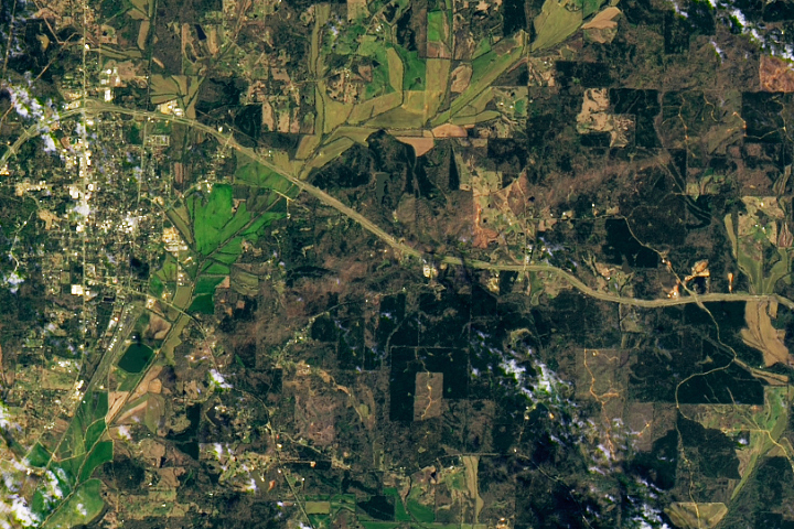 Tornado Leaves Path of Destruction in Mississippi