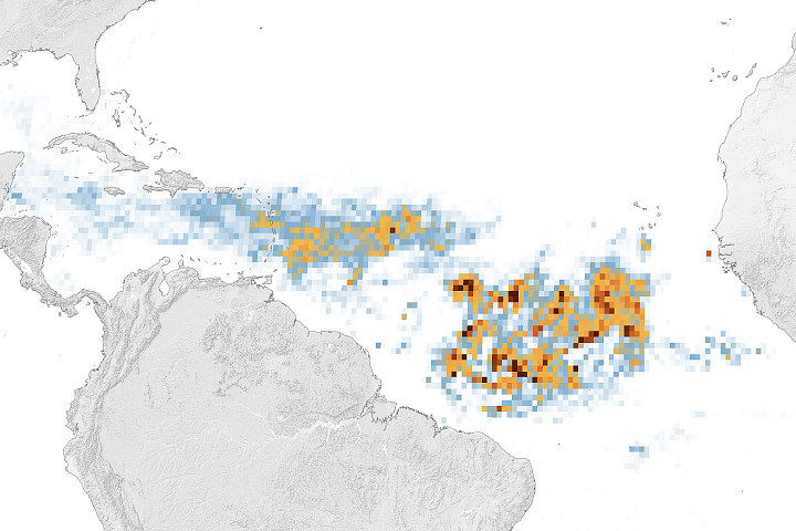 A Massive Seaweed Bloom in the Atlantic