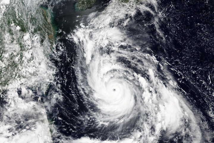 Train of Typhoons in the Western Pacific