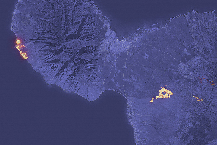 Devastation in Maui