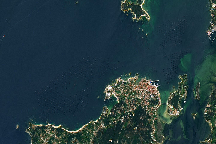 Mussel Rafts of the Rías de Arousa