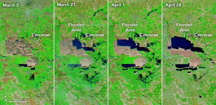 Tulare Lake Grows