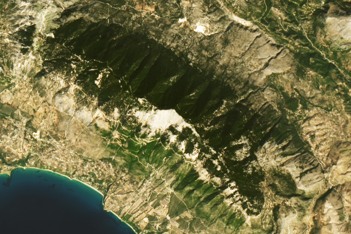 Green Forests and Dark Skies in Cephalonia