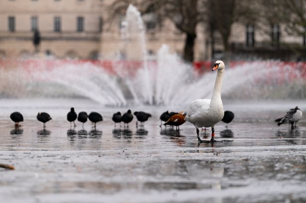 Famous London park lake freezes over as temperatures plummet below 0C