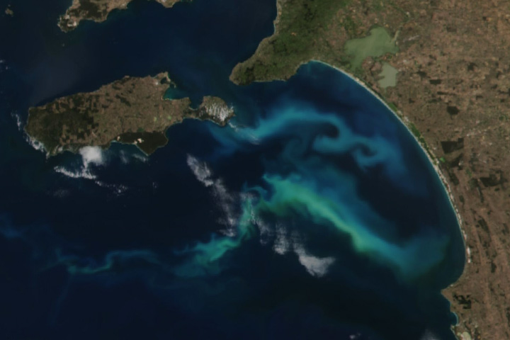 Filaments of Phytoplankton in Australia