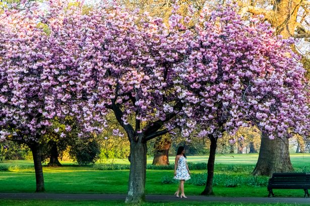 London set for 20C within days but weather forecast shows near-constant threat of rain