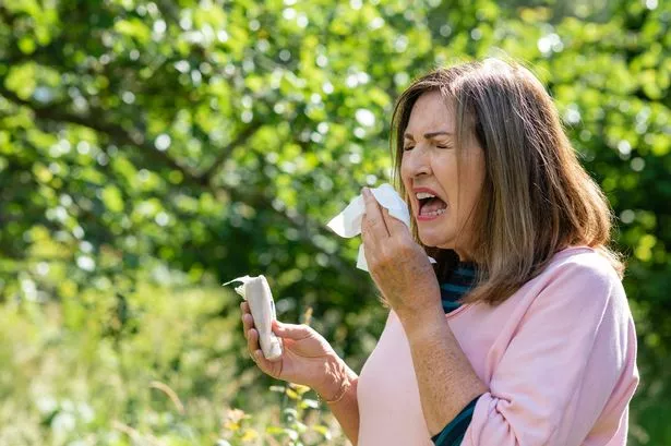 Expert’s top tips for hayfever sufferes to avoid pollen bomb and what time of day its highest