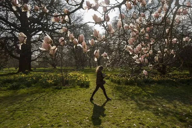 Met Office issues update on when it’ll actually get warm and sunny