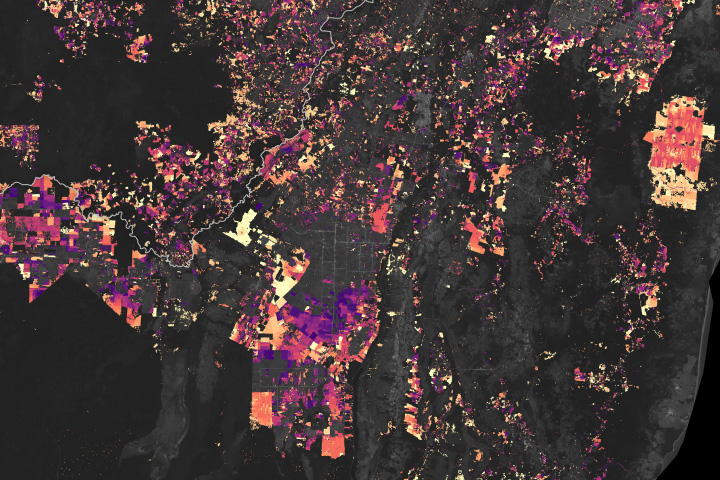 Tracking Forest Cover in Belize