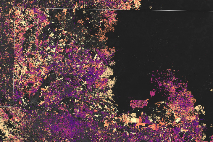 The Shrinking Selva Maya  