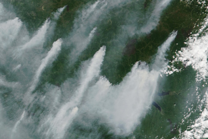 A Smoky Summer in Amur