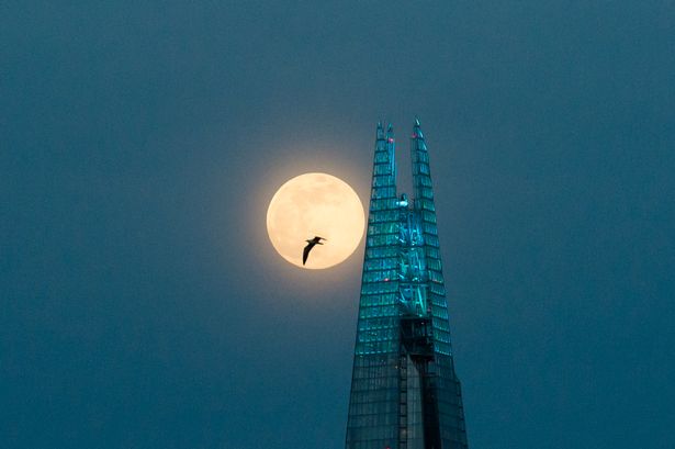 Ultra rare blue supermoon to be visible in London skies tonight