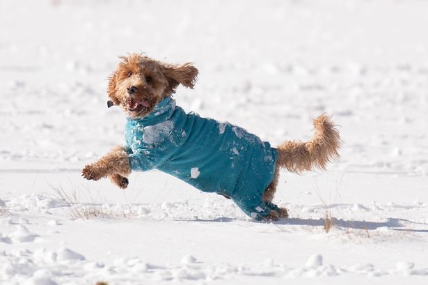 Met Office warns 20cm of snow to hit parts of UK in latest weather forecast