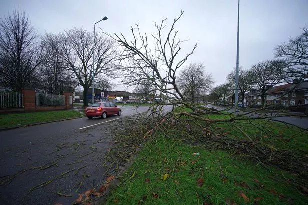 Wind speeds top 90mph as Storm Darragh starts to lash UK