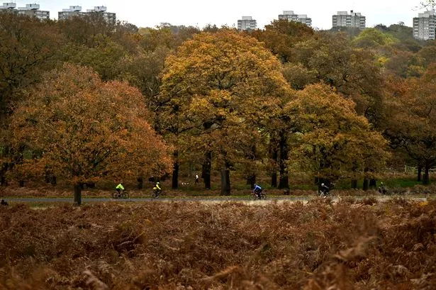 The London parks, cafés and venues closed on Saturday due to Storm Darragh 55mph winds