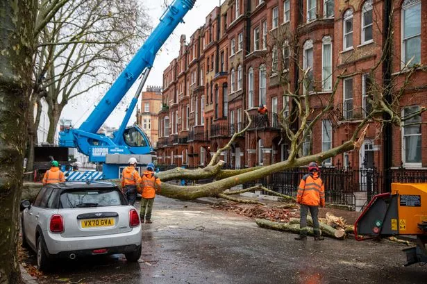 London weather forecast from Met Office predicts 34mph wind gusts despite Storm Darragh ending