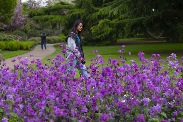 Exact date it will feel like spring in London as BBC Weather forecasts sunny days ahead