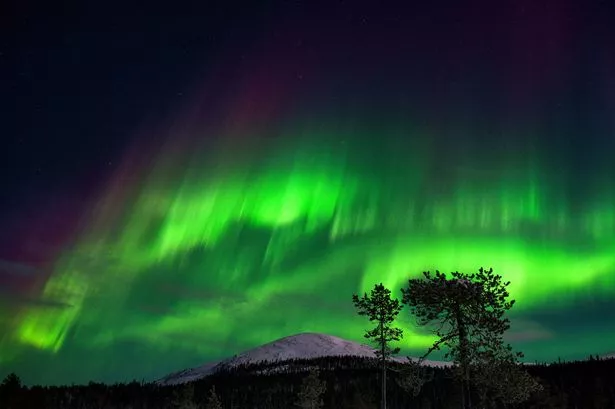 New Met Office Northern Lights alert with best times to see ‘most likely’ display tonight