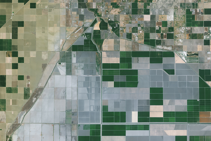 Dusty Skies in California Farm Country