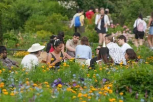 When it will rain next as BBC predicts week of non-stop sunshine