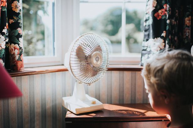 Cool down your house quickly by using your fan the ‘wrong’ way