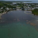 Seaweed overruns some Caribbean beaches as Sargassum hits record levels