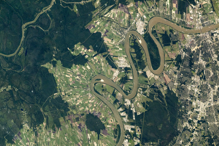 Meandering Through Baton Rouge