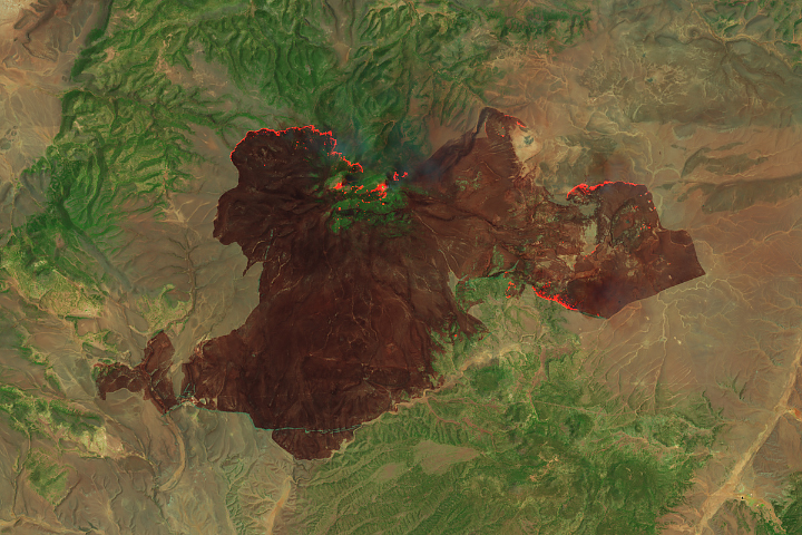 New Mexico Battles Wildfires