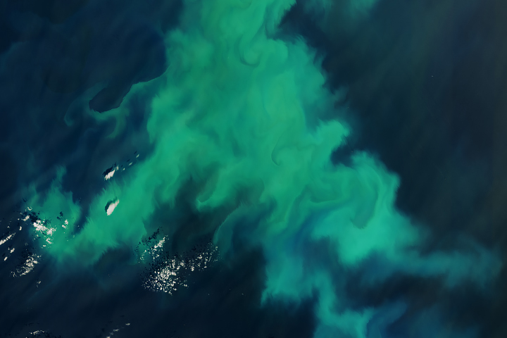 A Spectacle of Color off the Shetland Islands
