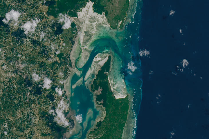 A Seaweed Economy Tied to the Tides