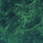 Brilliant Bloom in the Baltic Sea
