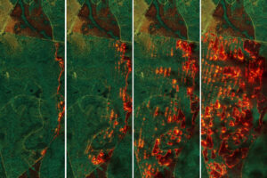 Mapping Fire’s Spread in a Georgia Pine Burn