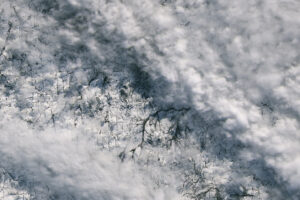 Fleeting Glimpse of Rare Snow