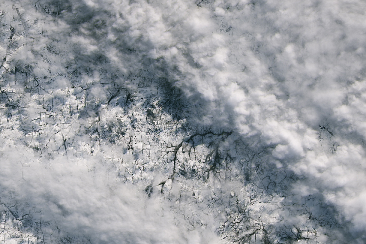 Fleeting Glimpse of Rare Snow