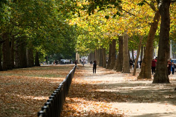 London to bask in 5 straight days of sunshine – but there’s a catch London to bask in 5 straight days of sunshine – but there’s a catch