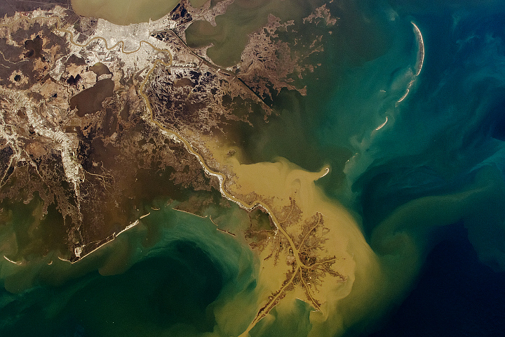 Winter Transforms the Mississippi River Delta