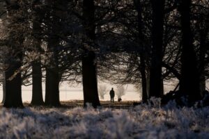 Met Office verdict on when London cold snap on way with temperatures in single figures