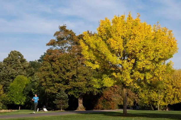 Met Office predicts London’s sunniest day this week amid spell of grey skies