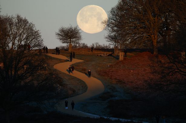 Stunning photos show Richmond Park frozen as ‘big freeze’ coming to London